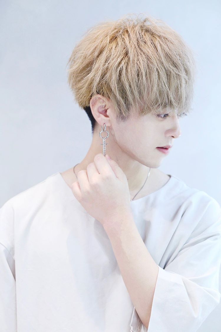 すなお（提供写真）