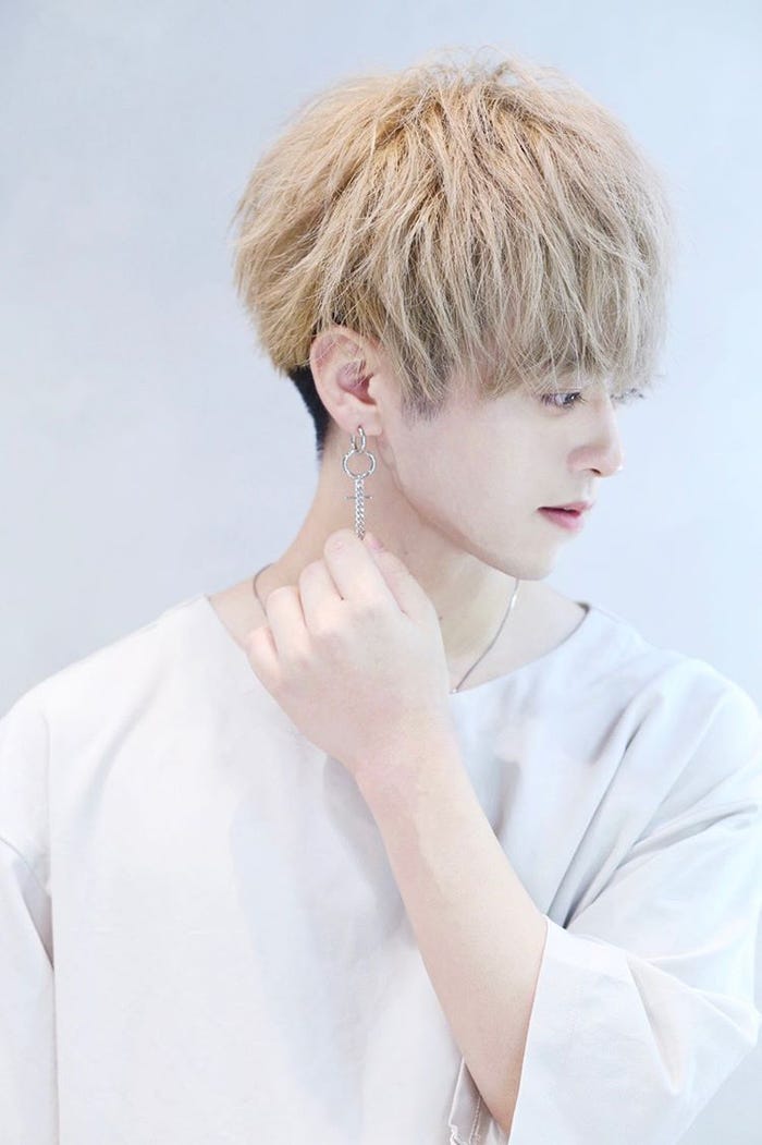 すなお(提供写真)