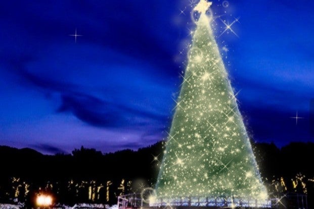 レオマウィンターイルミネーション2025（提供写真）