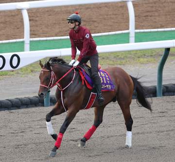 フォーエバーヤングが米G1を完勝し日本調教馬初の海外G1.4勝達成 総獲得賞金50億円突破 坂井「久々に緊張しました」 矢作師「本当に誇らしいし、馬に感謝」 BCクラシック連覇に弾み