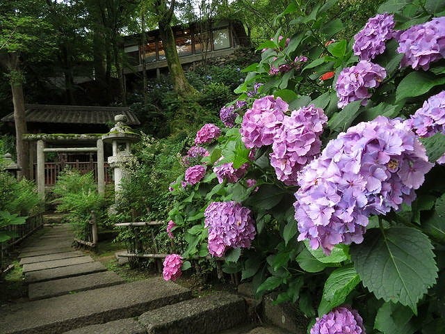 長谷寺