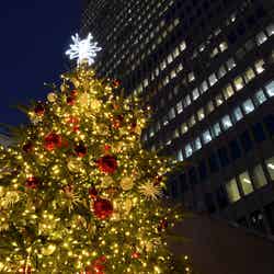 クリスマスツリー／画像提供：西新宿街ぐるみプロジェクト