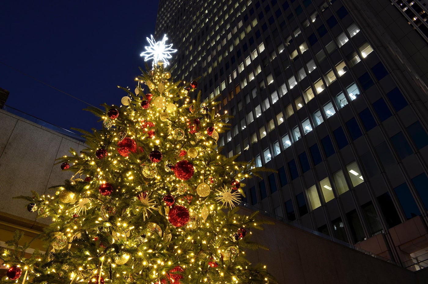 クリスマスツリー／画像提供：西新宿街ぐるみプロジェクト