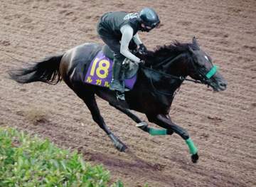 【スプリンターズS】ルガルは軽快最終追い 杉山晴師も一安心「動ける状態だと思う。G1馬の意地見せたい」