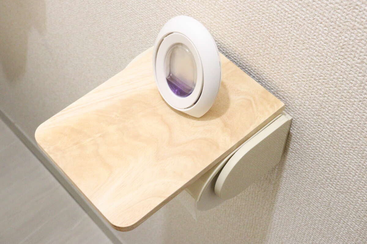 ブックエンド（ゴムの木）　活用例