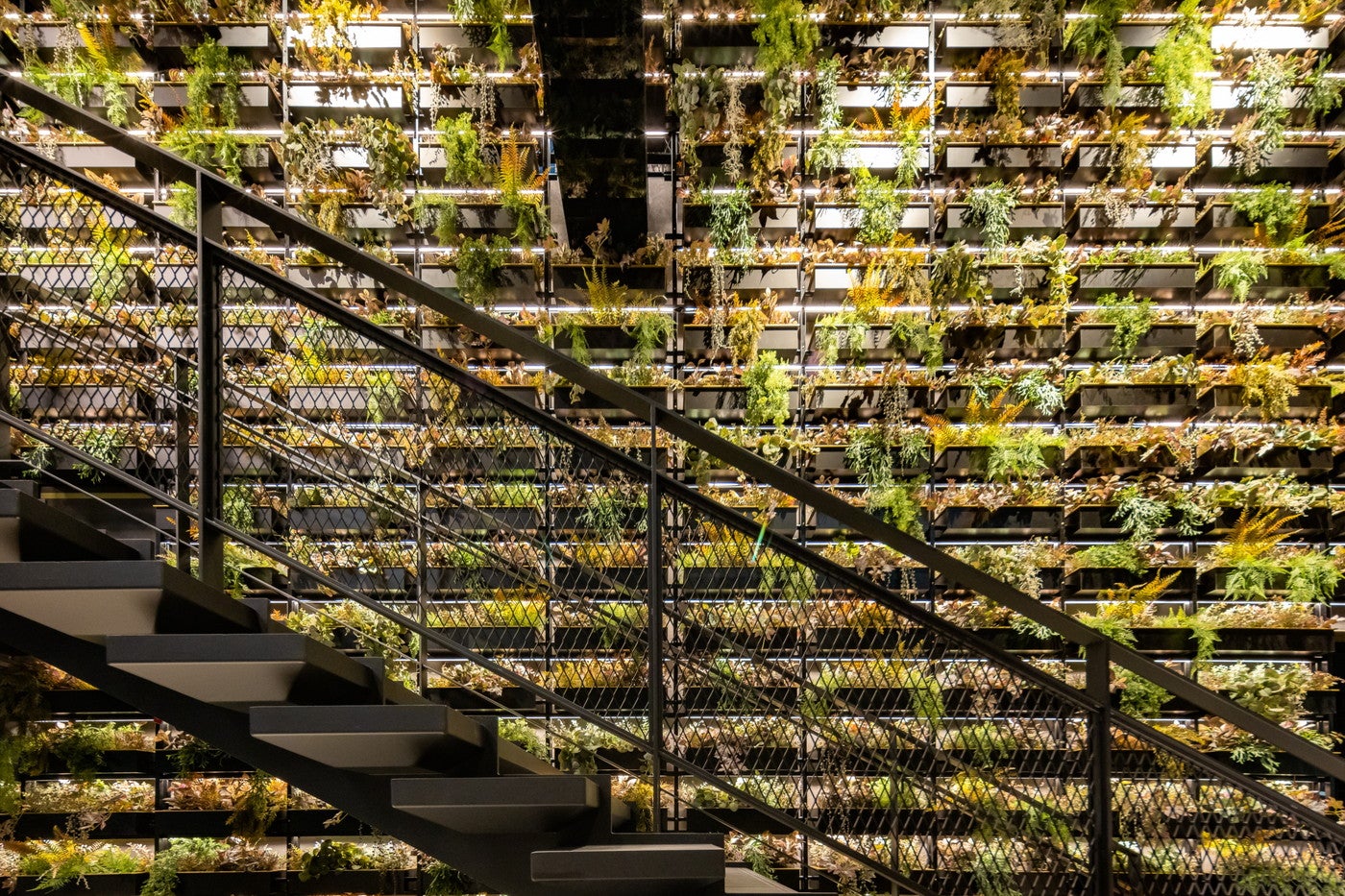 東急ステイ メルキュール 大阪なんば／画像提供：東急リゾーツ＆ステイ