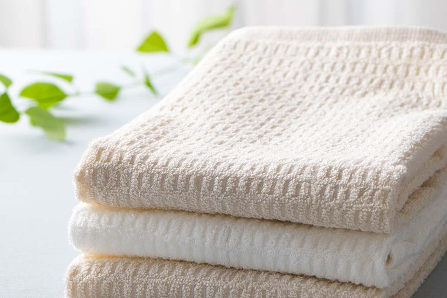 エフエフバケーションハウスヌマタ／提供画像