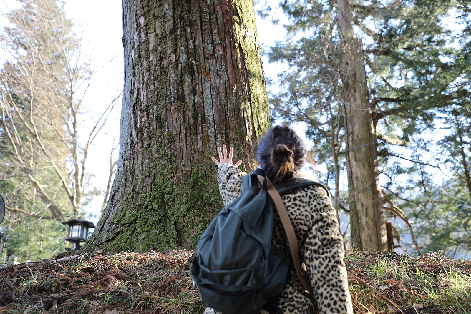 柴田紗希（写真提供：MBS）