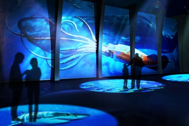 DMMかりゆし水族館／画像提供：DMM.com