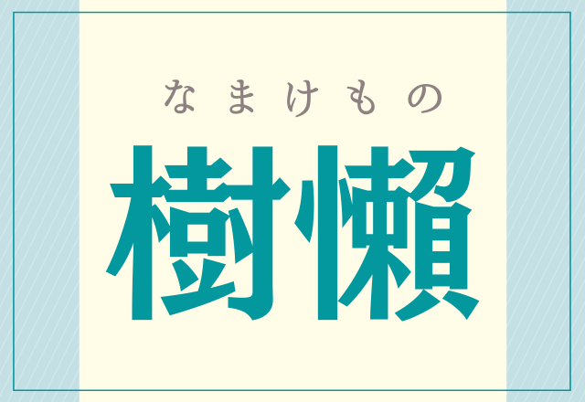 樹懶 こうやって書くんだ みんなが知ってるあの動物 モデルプレス