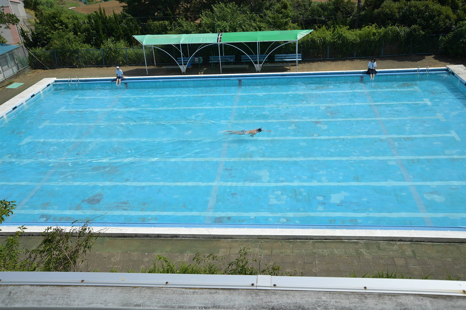 『さかな』／画像提供：星降る町の映画祭 with CINEMA CARAVAN 実行委員会