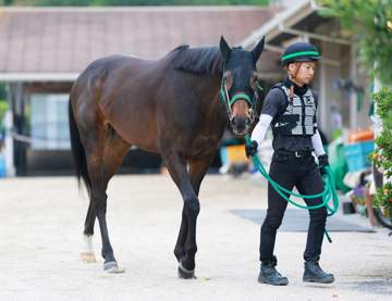 【天皇賞】タガノデュード 目覚めろキンカメの血 3000メートル以上は初出走でも「もともと心肺機能は強い」