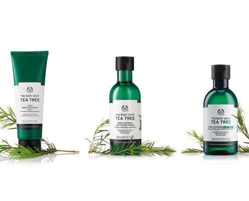 【終了】「THE BODY SHOP」ティーツリーシリーズ 多機能洗顔料・パウダー入り化粧水・ボディシャンプーをセットで3名様にプレゼント【アプリ限定】