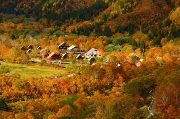 銀山平／提供素材