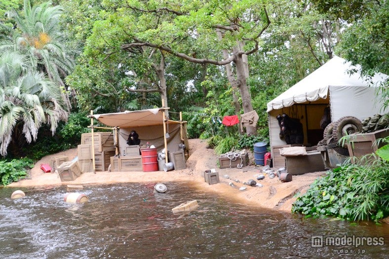 「ジャングルクルーズ：ワイルドライフ・エクスペディション」