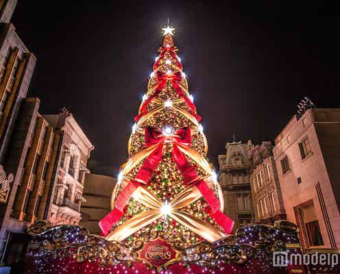 USJ「一生に一度は見たいクリスマスツリー」が今冬で見納めに