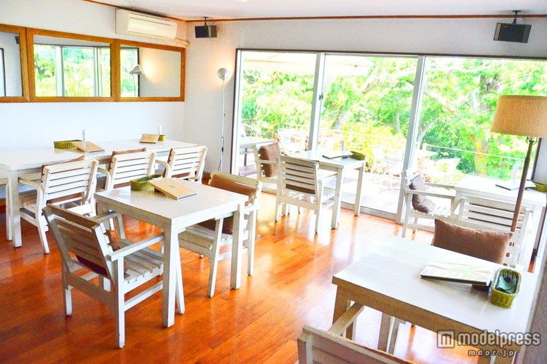 陽の光が差し込む店内