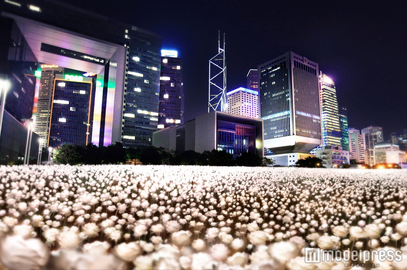 セントラルの高層ビル群を背景にLEDのバラの花が輝く（イメージ）／画像提供：香港政府観光局