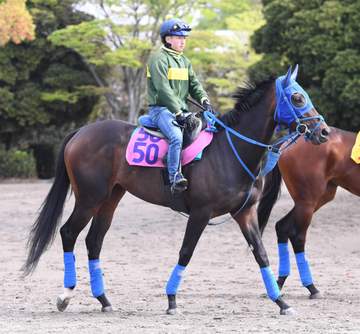 【フローラS】ラフターラインズ キレキレの鬼脚でオークス切符獲る 小笠師「切れは極上なので」