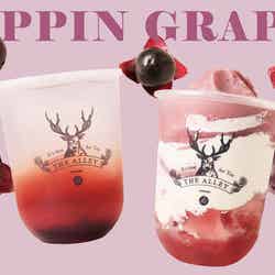 ポッピン・グレープシリーズ/提供画像