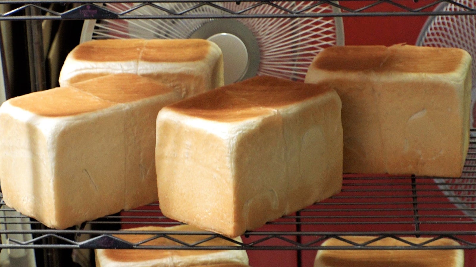 地明さんのパン（写真提供：関西テレビ）