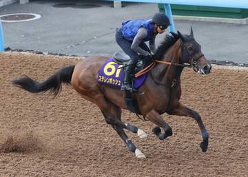 【安田記念】ステレンボッシュ 宮田師「馬なりのままで素晴らしい動き」 レーンと新コンビ「心強い」