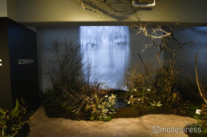 「LE SSERAFIM 2024 S/S POP UP IN TOKYO」内観(C)モデルプレス