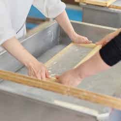 均等に原料を広げるのが難しい。サポートして貰いながら丁寧に和紙を作っていきます/提供画像