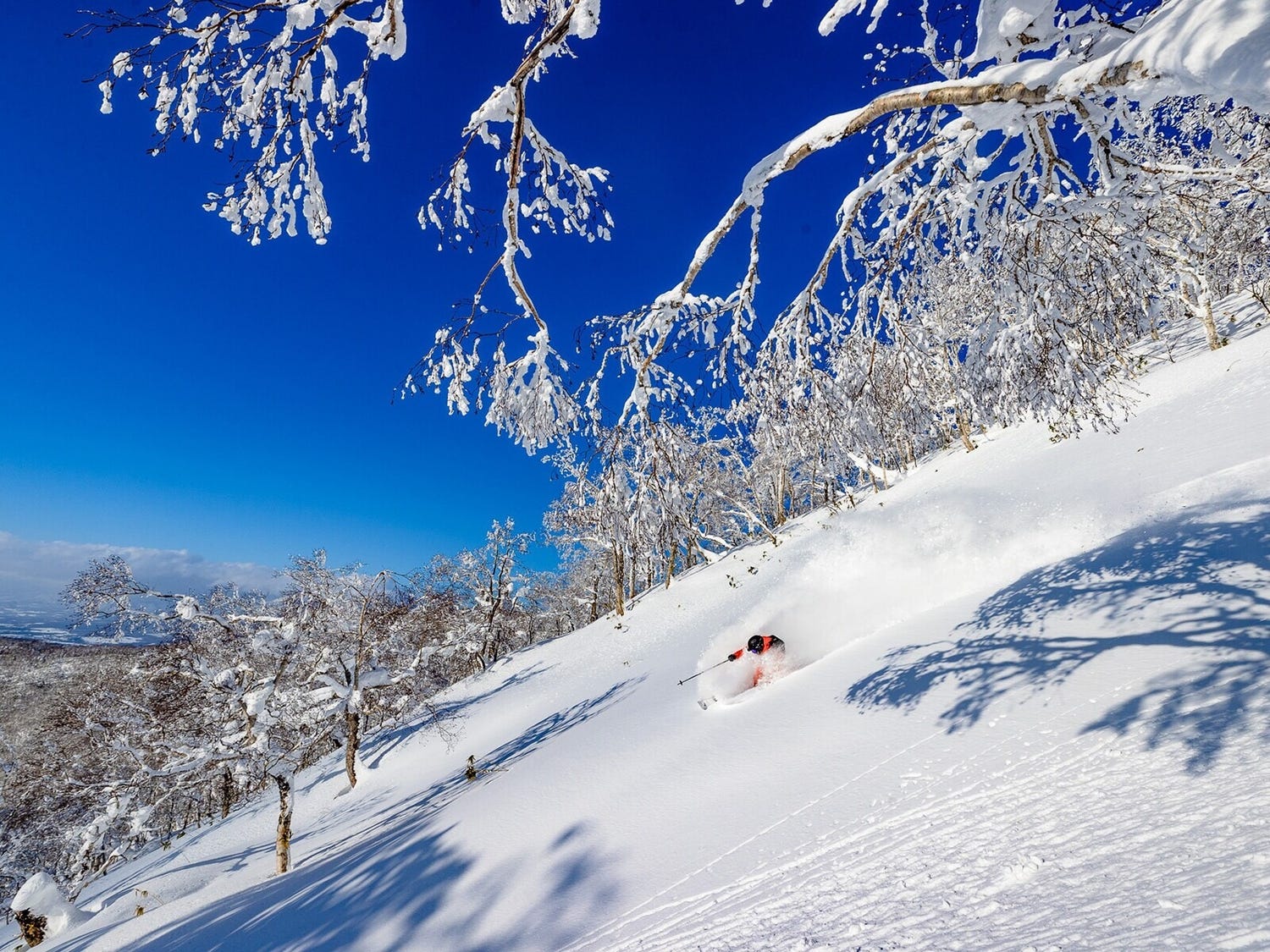 リフト券1万6200円、日本最高額の北海道・ルスツは高すぎ? 実際に行って確かめてきた
