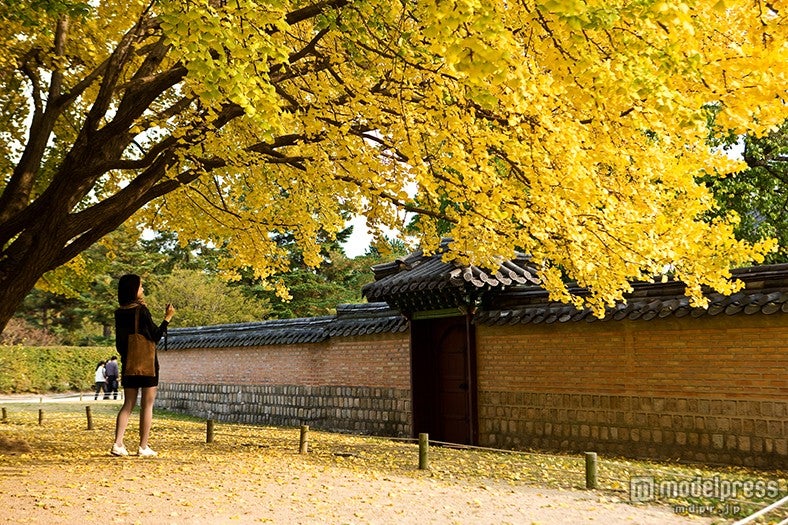 景福宮／画像提供：韓国観光公社