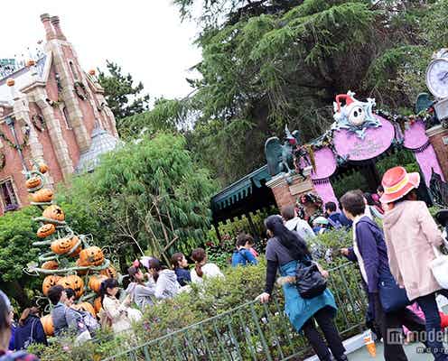 ディズニークリスマス、あなたは知ってる?今だけの限定プログラム