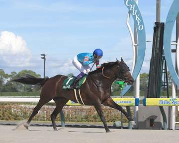 重賞2勝馬ヤマニンウルスが引退＆種牡馬入り 斉藤崇師「いい子を出してほしいです」 デビュー戦は今村聖奈騎乗で大差のレコード勝ち デビュー5連勝で重賞Vを飾った砂の大器 JRA発表