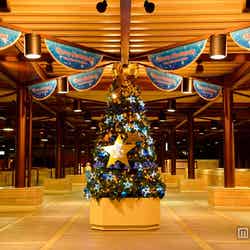 クリスマスツリー（C）Disney