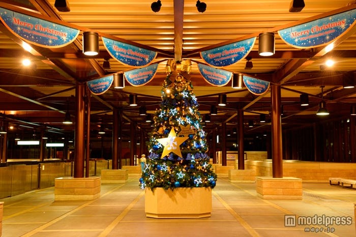 クリスマスツリー(C)Disney