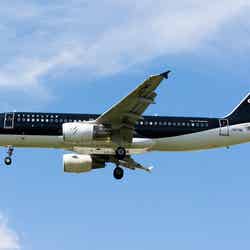 スターフライヤー機体/画像提供:スターフライヤー