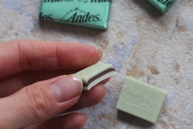 成城石井「アンデスミントパフェシン」