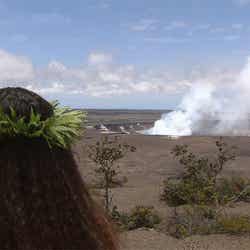 長谷川潤/NHKBSプレミアム「ハワイの魂にふれる~神々に捧げるフラ~」(C)NHK