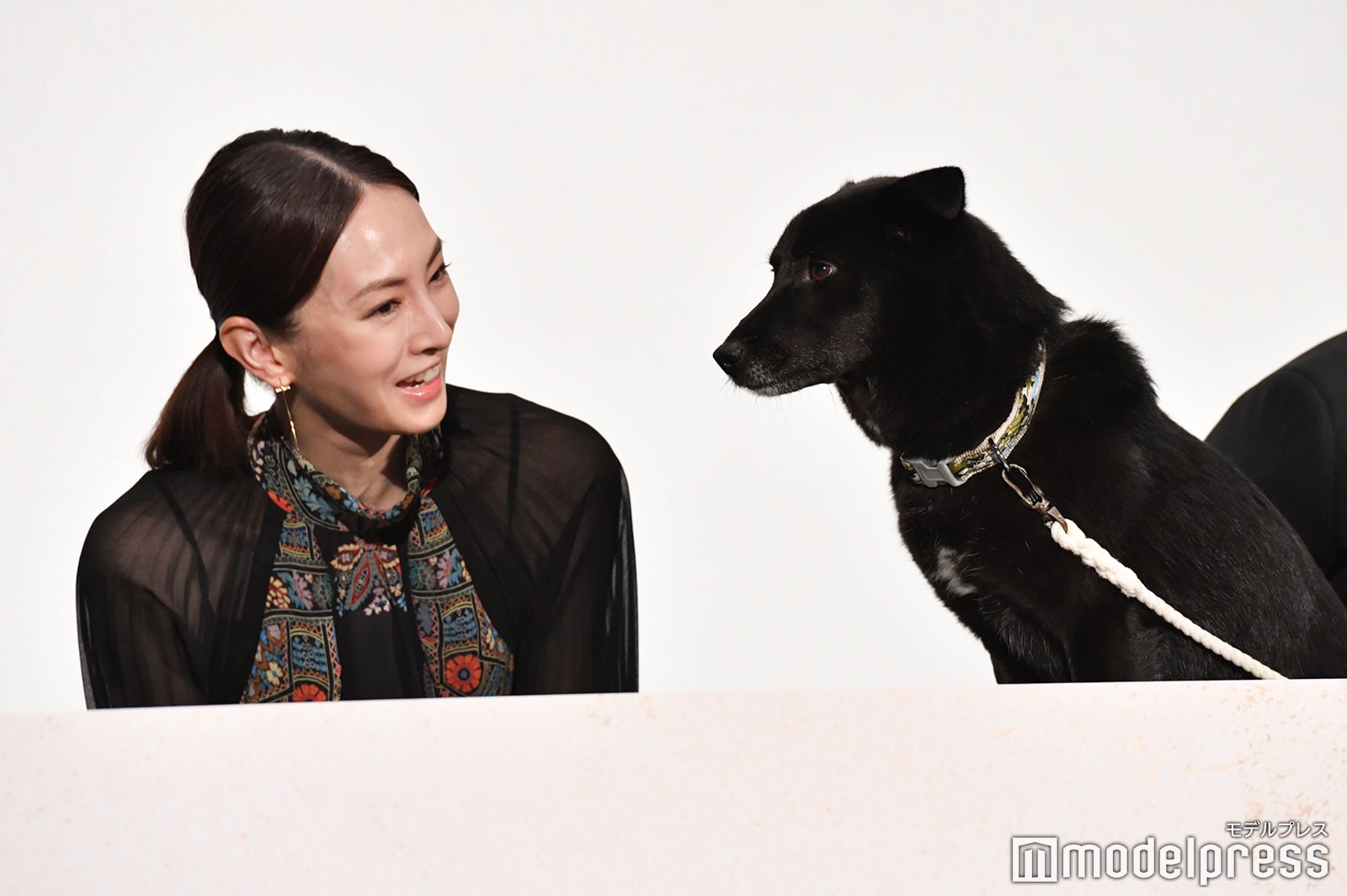 北川景子とお話するクロ（大吉） （C）モデルプレス