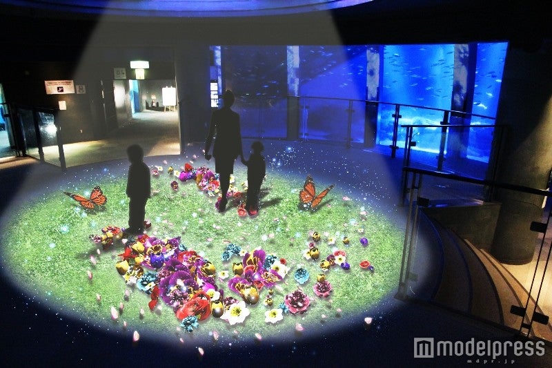 「FLOWING FLOWERS」／画像提供：横浜八景島