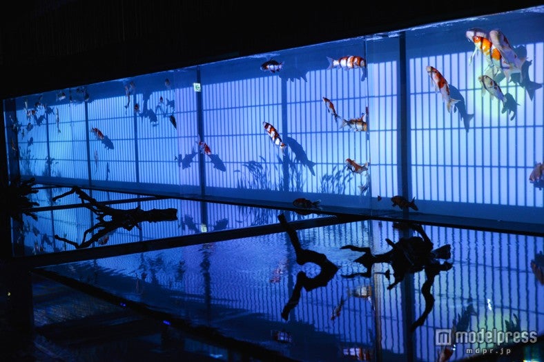「『ECO EDO 日本橋』ダイナースクラブ アートアクアリウム2013～江戸・金魚の涼～」