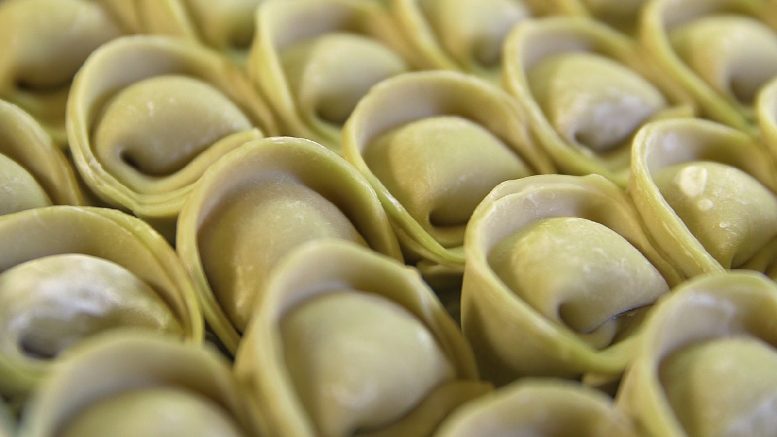 「按田餃子」の餃子（写真提供：関西テレビ）