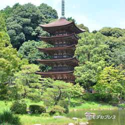 瑠璃光寺五重塔(C)モデルプレス
