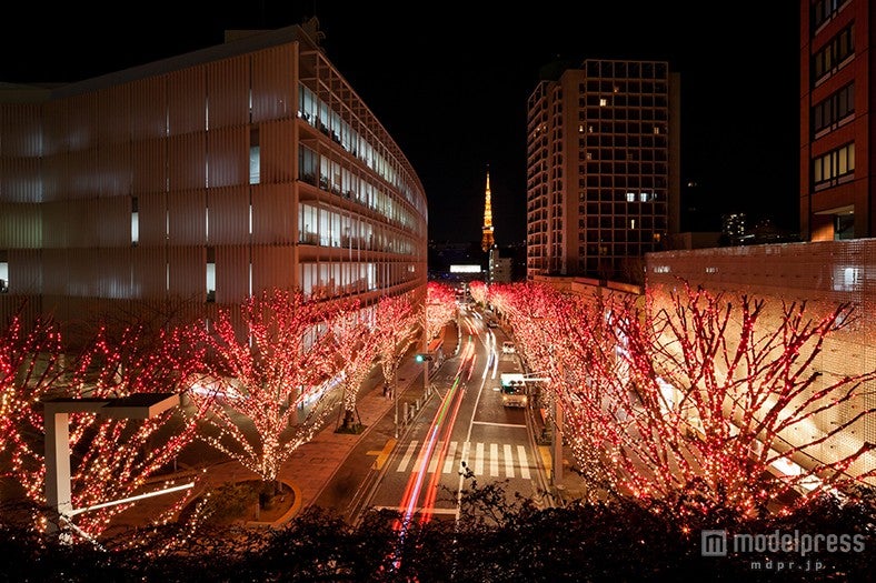 けやき坂 Galaxy イルミネーション／画像提供：森ビル