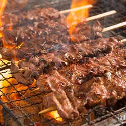 串焼き、ケバブ、カツ…様々な肉料理が登場／画像提供：AATJ