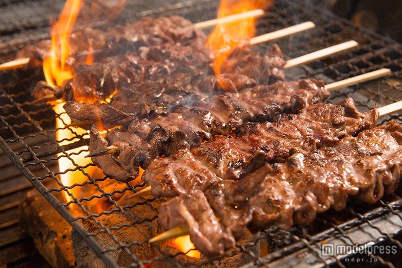 串焼き、ケバブ、カツ…様々な肉料理が登場／画像提供：AATJ