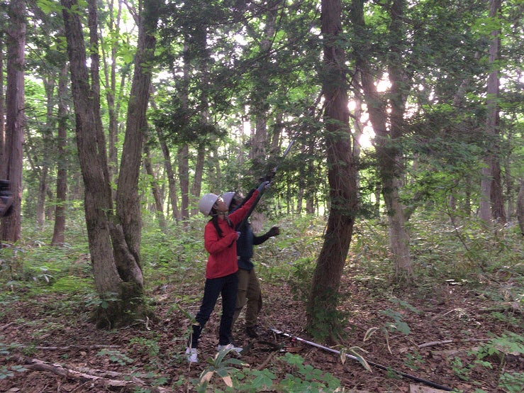 瀧本美織（提供写真）