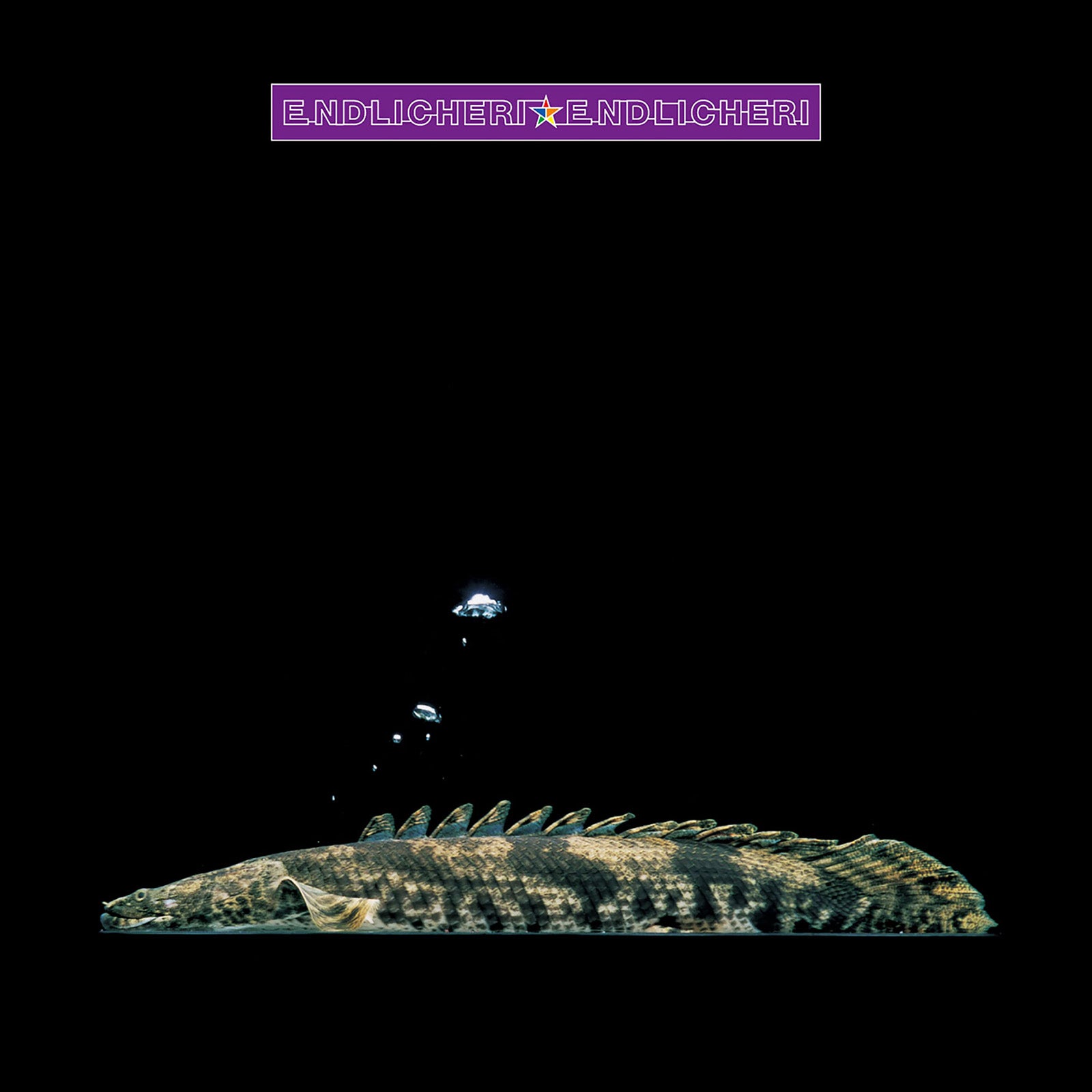 「ソメイヨシノ」（提供写真）