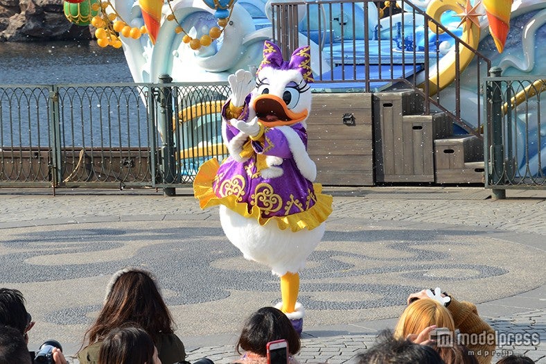 「カラフルホリデー・グリーティング」デイジー