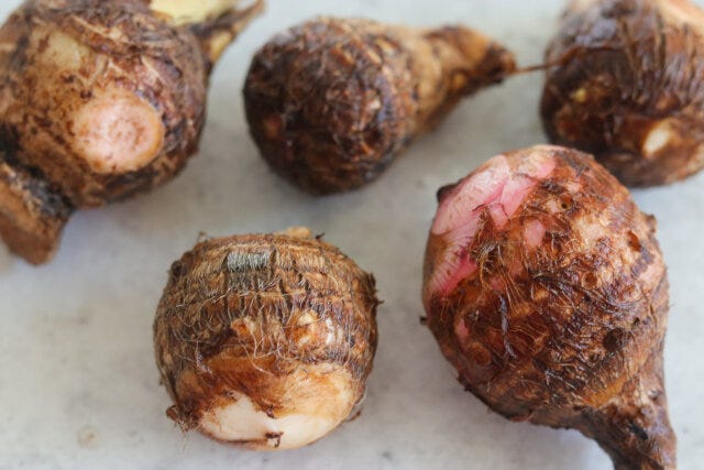 里芋は皮ごとよく洗い、包丁で皮に一周切り込みを入れる。 里芋は皮ごとよく洗い、包丁で皮に一周切り込みを入れる。