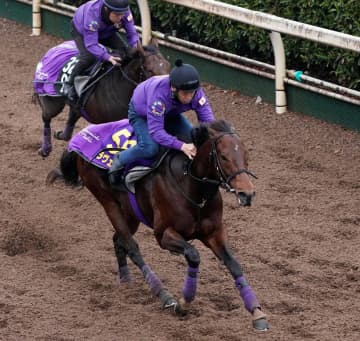 【ホープフルS】ラヴェニュー 仕上がり順調！来春の主役の座狙う 漂う大物感に友道師「2歳馬離れしている」